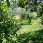 fond de tiroir